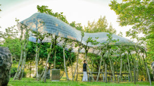 Arbor Kitchen, Neue Kunst am Ried, Deutschland.  Experimentelles   baubotanisches Bauwerk, TU München,  Foto: Kristina Pujkilović