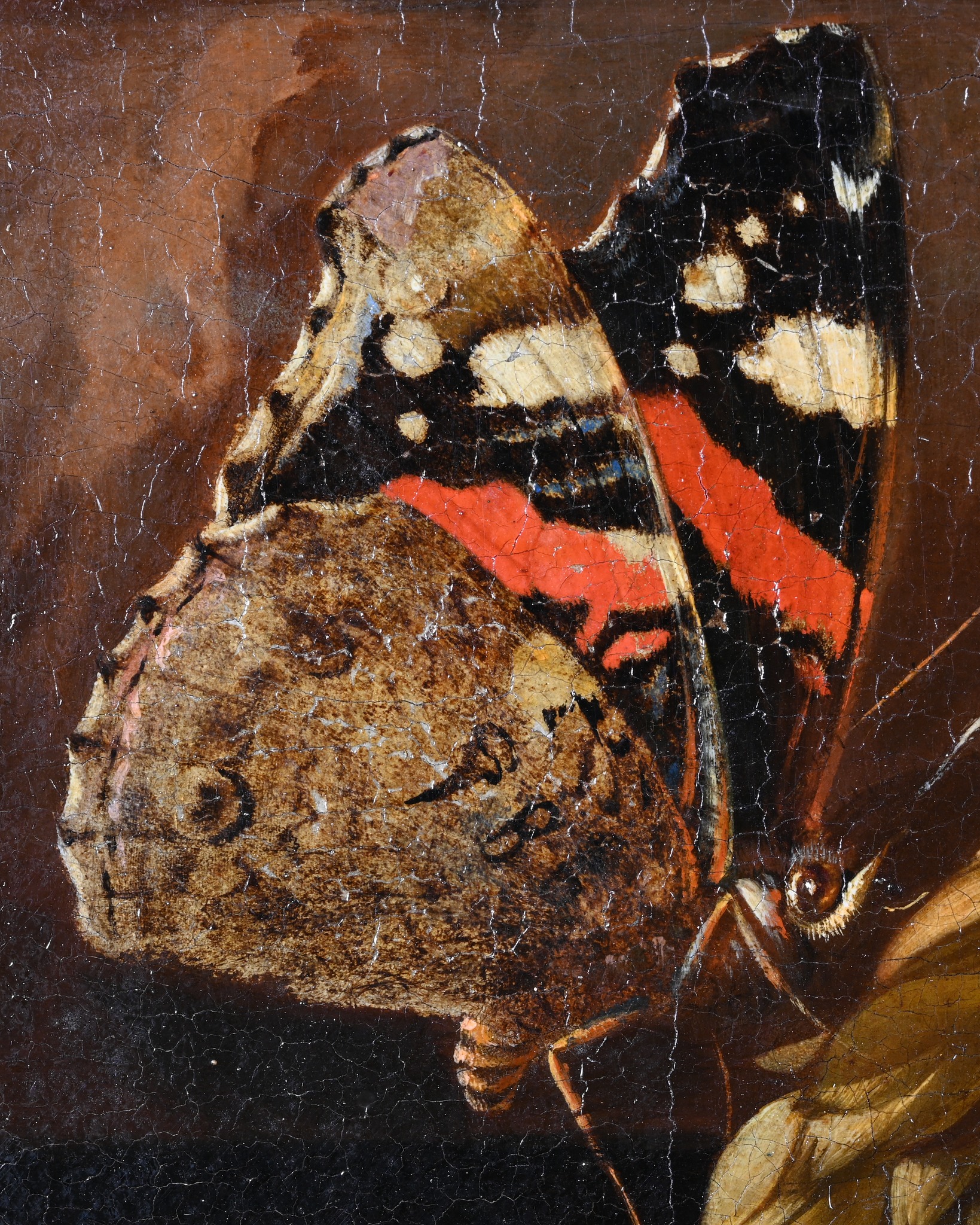 🦋 Echt jetzt? Die Barockmalerin Rachel Ruysch malte tatsächlich mit echten Schmetterlingsflügeln, indem sie diese…