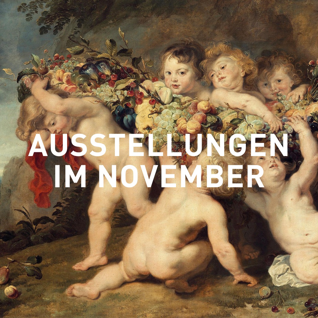 🍄 Unsere Ausstellungen im November Der November wird bunt! Taucht ein in die wundersame Welt…